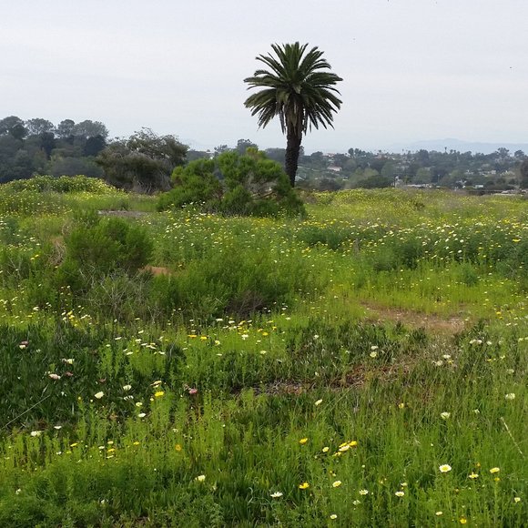 Meet your Posher, Posh - Picture 9 of 10